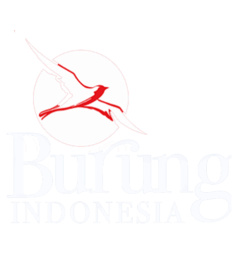Burung Indonesia
